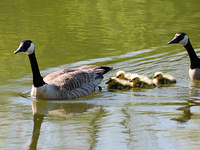 [New Parents]