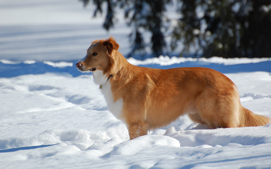 [Winter Playground]