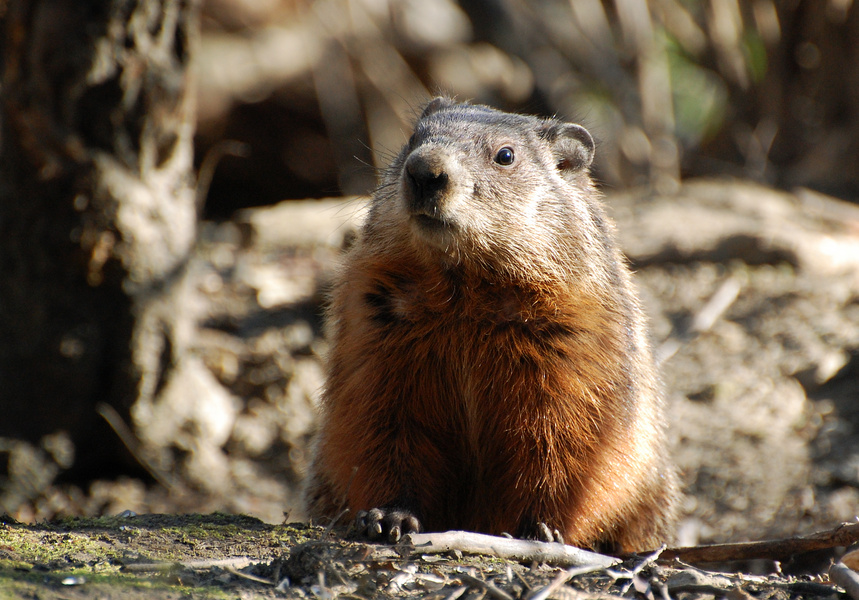 [On The Lookout]