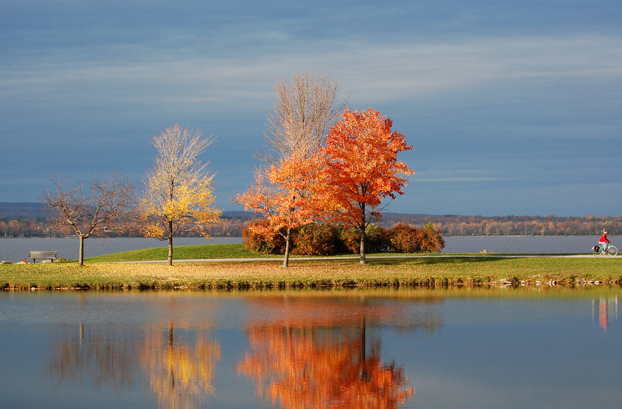 [Autumn at Andrew Haydon Park]