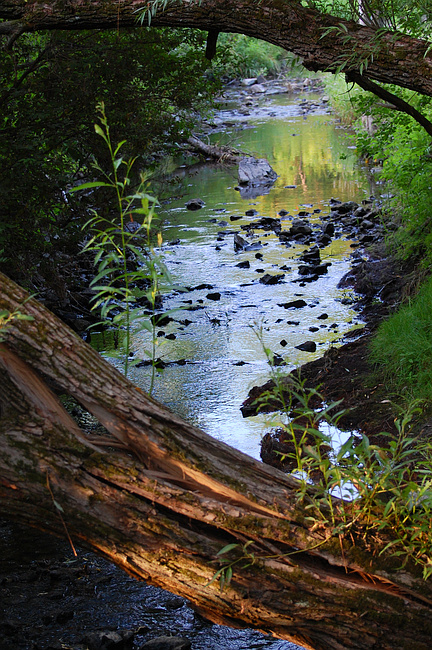 [Watts Creek]