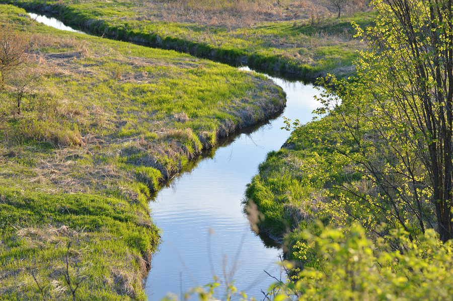 [Watts Creek]