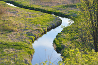 [Watts Creek]