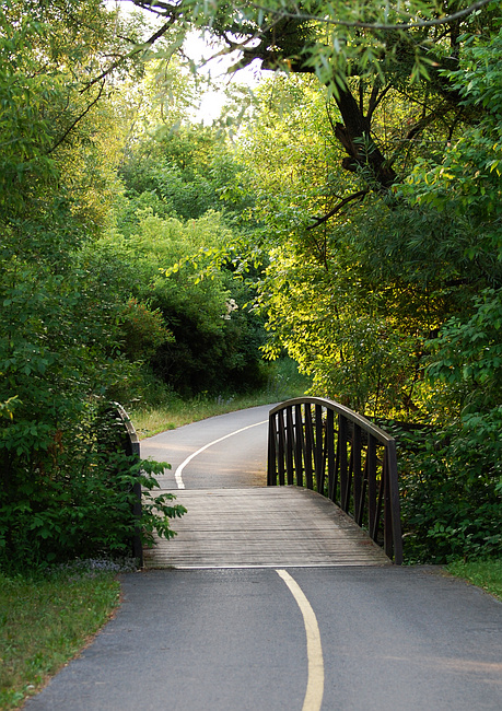 [Watts Creek Pathway]